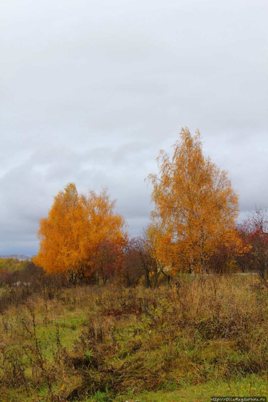 Золотая суздальская осень. Суздаль, Россия