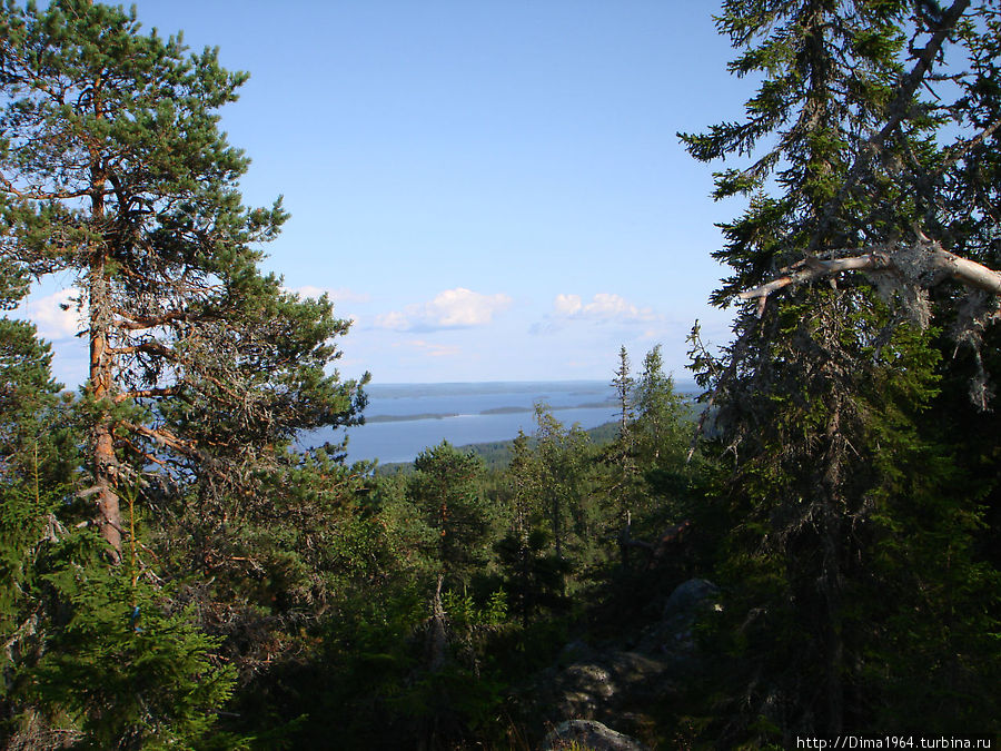 Издалека открывается вид на озеро Коли Национальный Парк, Финляндия