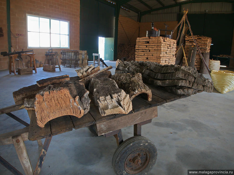 разные по возрасту слои Ронда, Испания разные по возрасту слои Ронда, Испания