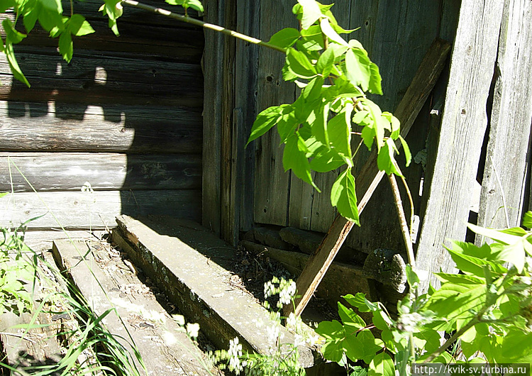 Крылечки когда-то насижен Крылечки когда-то насижен