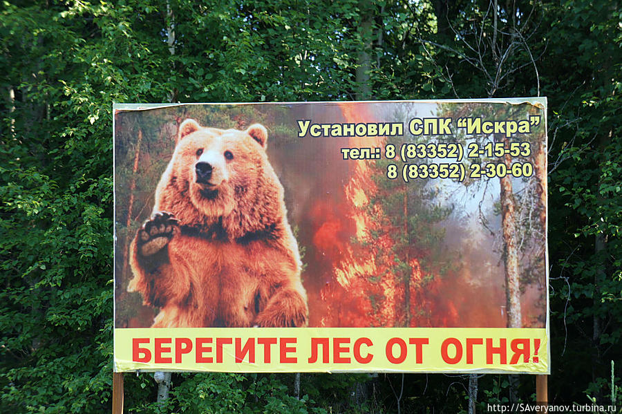 Пылающий медведь благословляет путников. Кировская область Россия