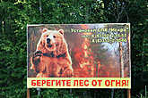 Пылающий медведь благословляет путников. Кировская область