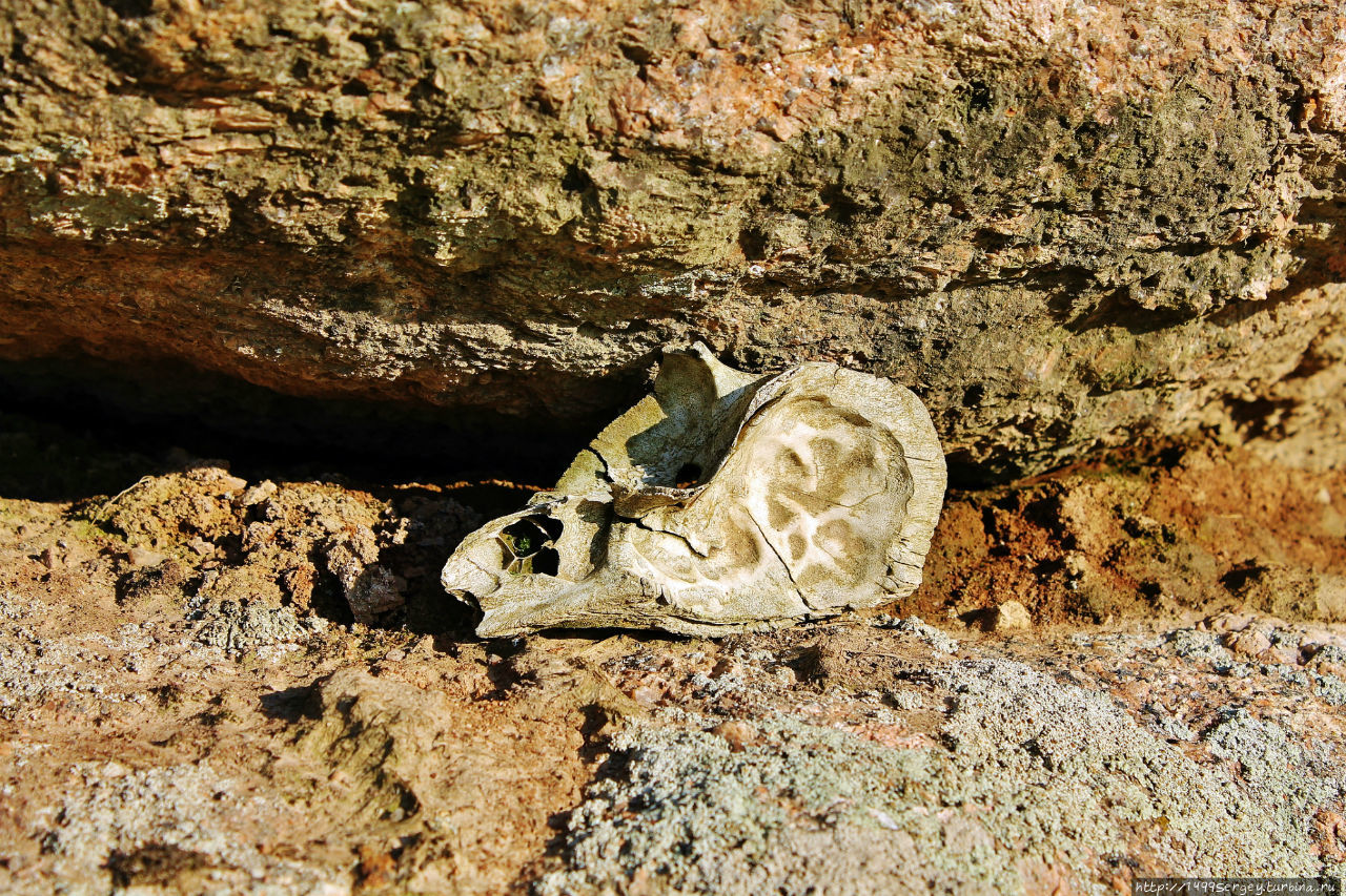 Воспоминания #3 Санкт-Петербург и Ленинградская область, Россия Воспоминания #3 Санкт-Петербург и Ленинградская область, Россия