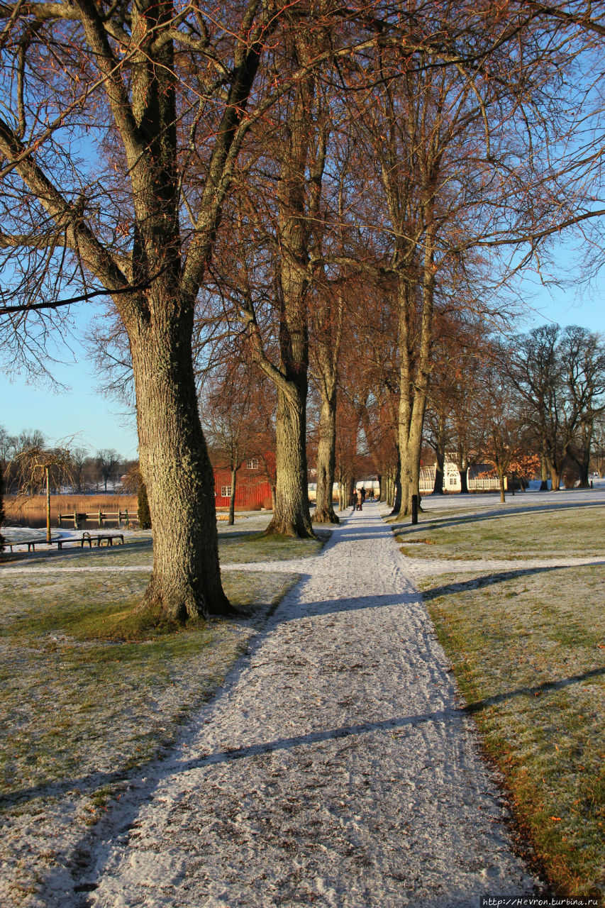 Прогулка по зимнему парку Грипсхольма