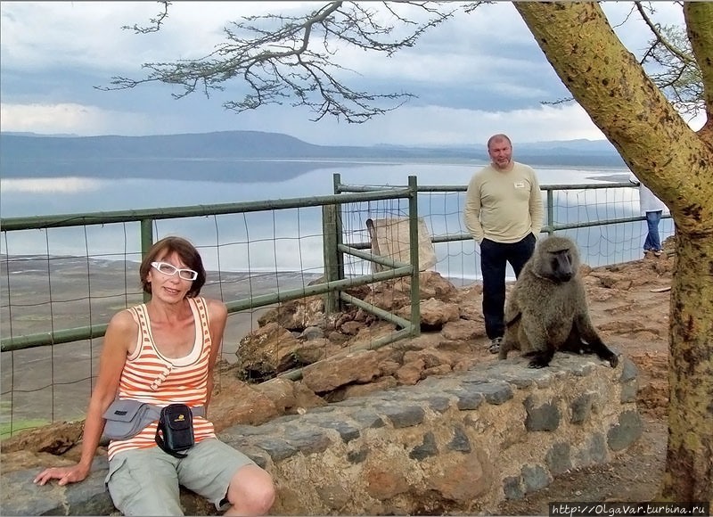 А можно посидеть рядом? Озеро Накуру Национальный Парк, Кения