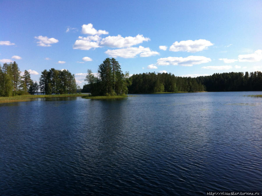 Агротерапия по-фински. День пятый. Вода Пункахарью, Финляндия