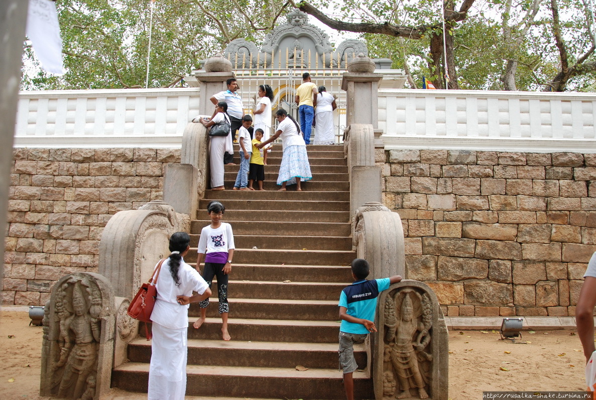 Анурадхапура и самое древнее дерево Анурадхапура, Шри-Ланка
