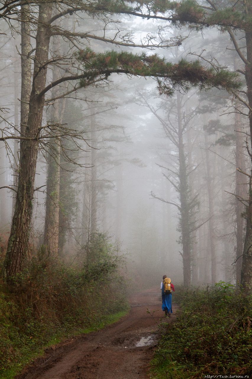 Camino del Norte. Северный путь в Сантьяго де Компостела. Сантьяго-де-Компостела, Испания