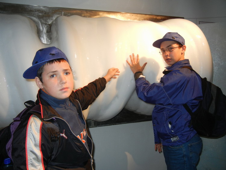 Кусок настоящего ледника Кусок настоящего ледника