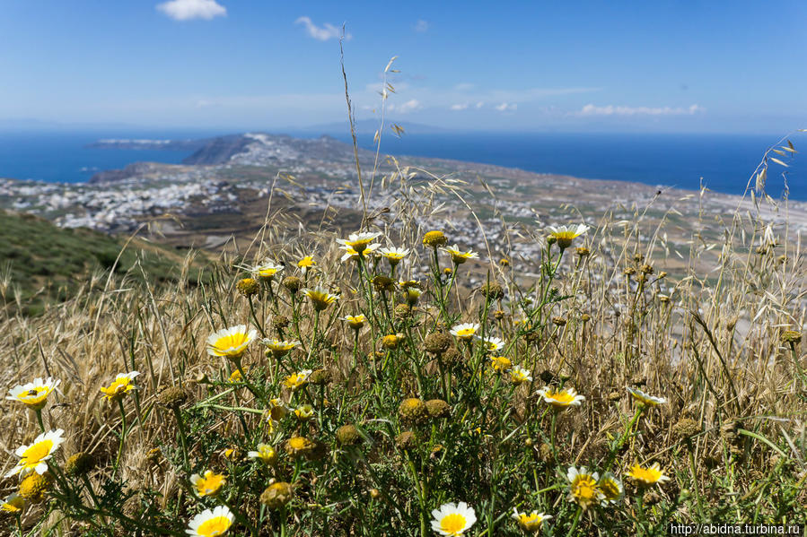 Вид с самой высокой точки острова, здесь находится монастырь Остров Санторини, Греция