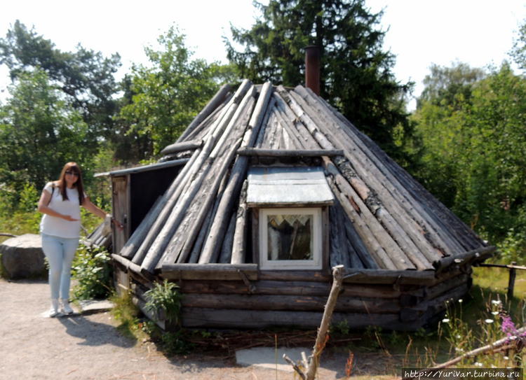 Были и такие дома в Швеци