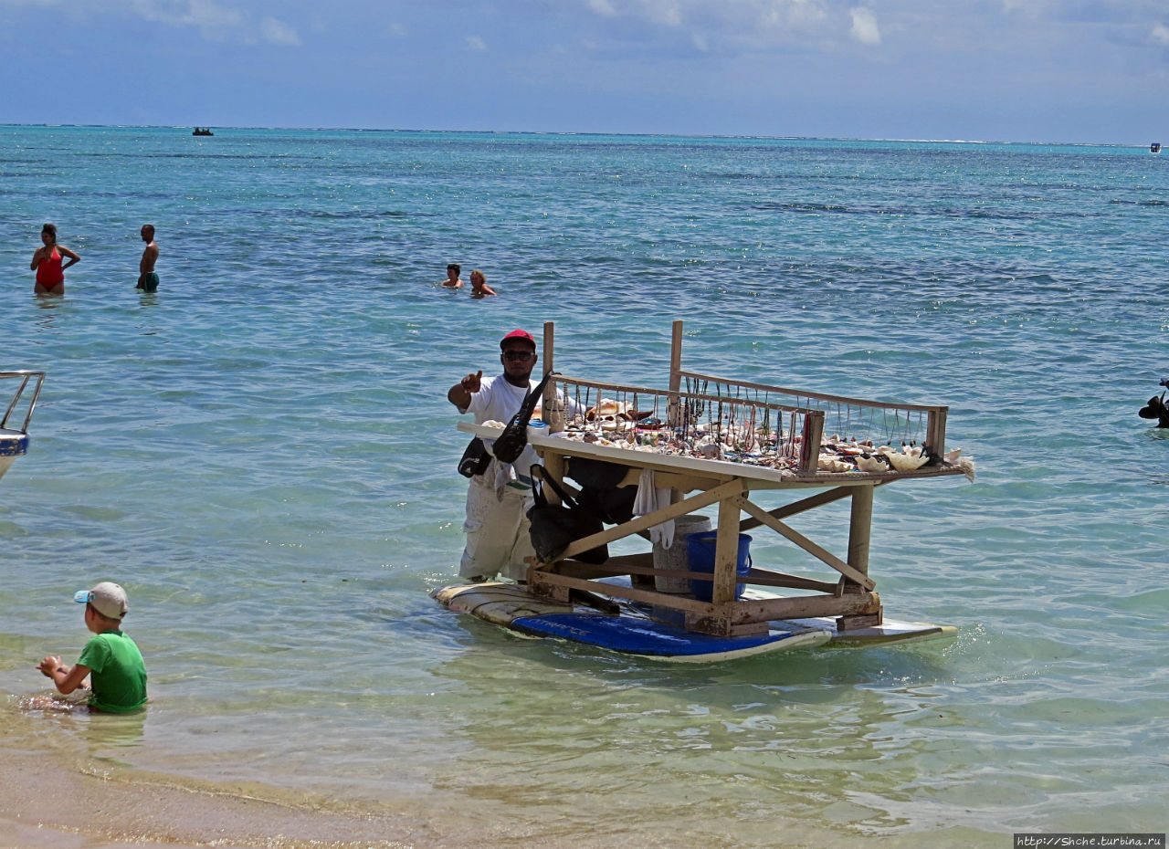 Специальный остров для барбекю Остров Бенитье, Маврикий