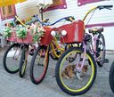 Каждая принцесса по желанию может взять специальный принцесский велосипед на прокат.