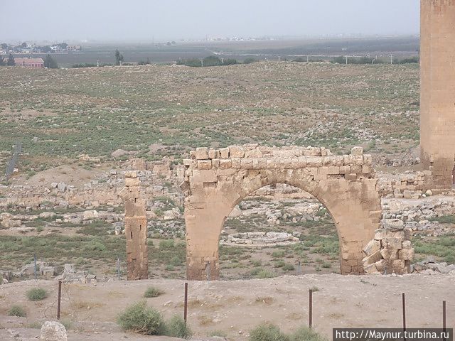 Развалины  Великой мечети. Мечеть построена в 8 веке н. э. на месте Харранского храма Луны. Харран, Турция
