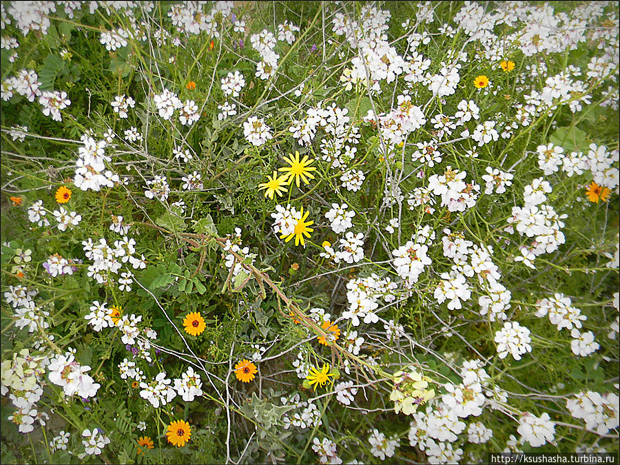 Самая загадочная крепость Арад, Израиль Самая загадочная крепость Арад, Израиль
