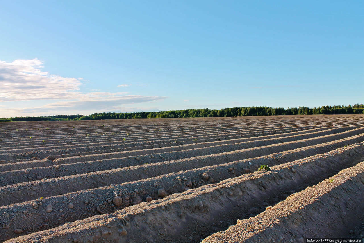 Моя Земля Моя Земля