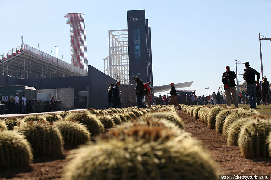 Думаю, что это последний год, когда зрители пренебрегают нашими Техаскими заборами. Думаю, что это последний год, когда зрители пренебрегают нашими Техаскими заборами.