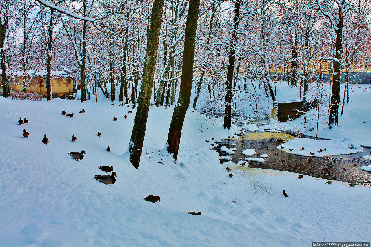 Парк Ораниенбаум Ломоносов, Россия Парк Ораниенбаум Ломоносов, Россия