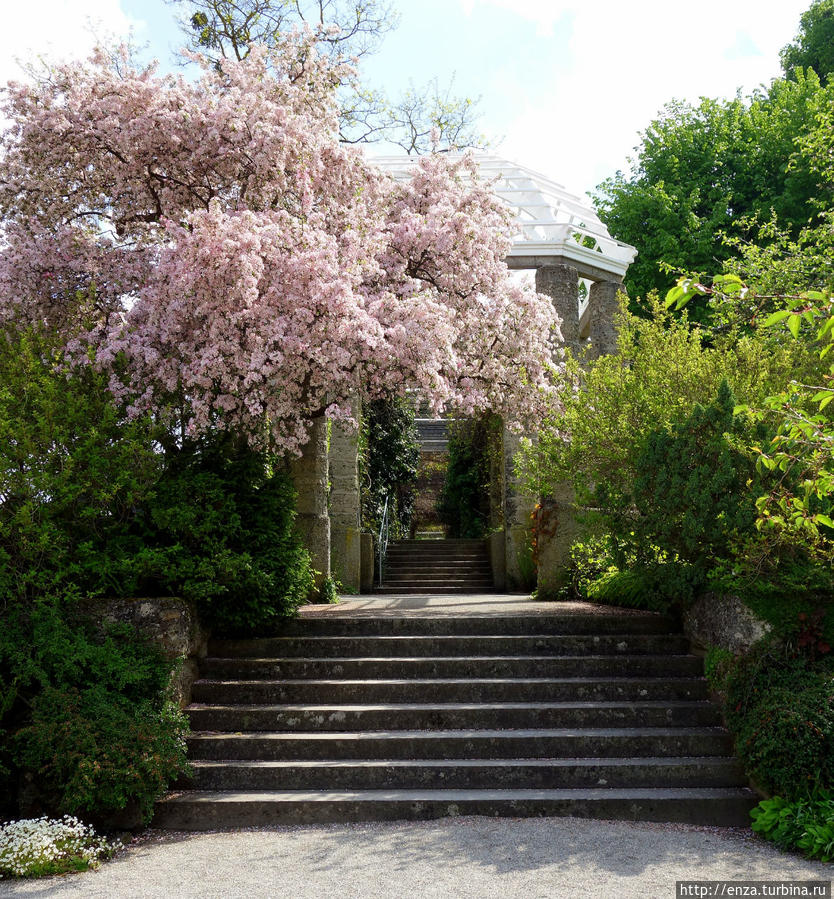 Мюнхенский ботанический сад — где ёлки розовым цветут Мюнхен, Германия