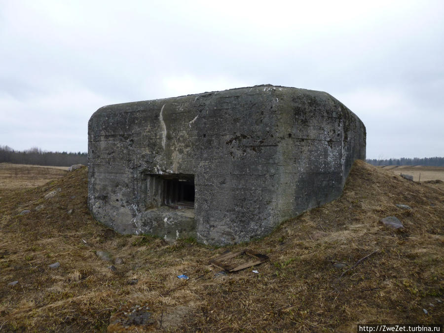 Кровавый рубеж Гатчина, Россия