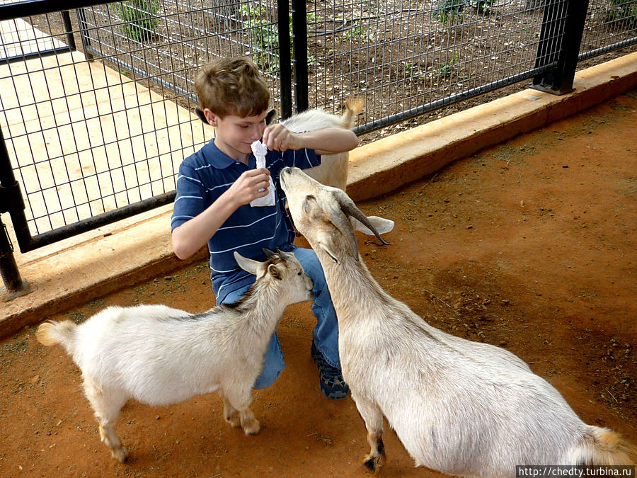 По классике один отвлекает, другой штаны жрет. По классике один отвлекает, другой штаны жрет.