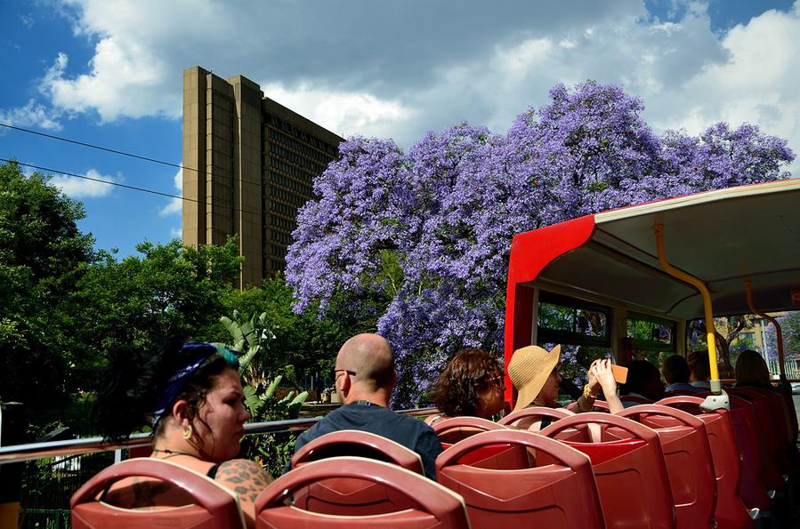 На улицах цветет жакаранда Йоханнесбург, ЮАР