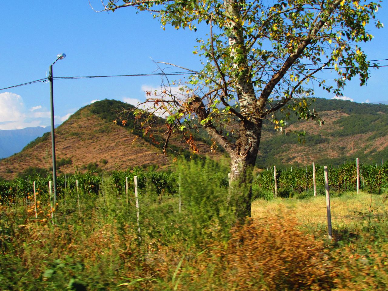 Один день в Алазанской долине. Ч.2 Греми, озеро, вино,Мимино Кахетия, Грузия