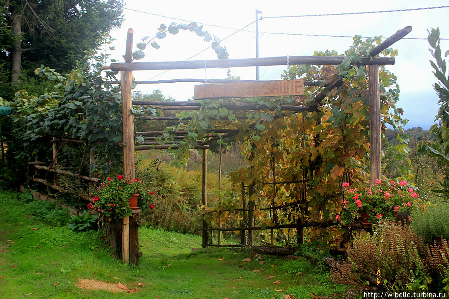 Дворик ресторанчика в горах. Ламеция-Терме, Италия Дворик ресторанчика в горах. Ламеция-Терме, Италия