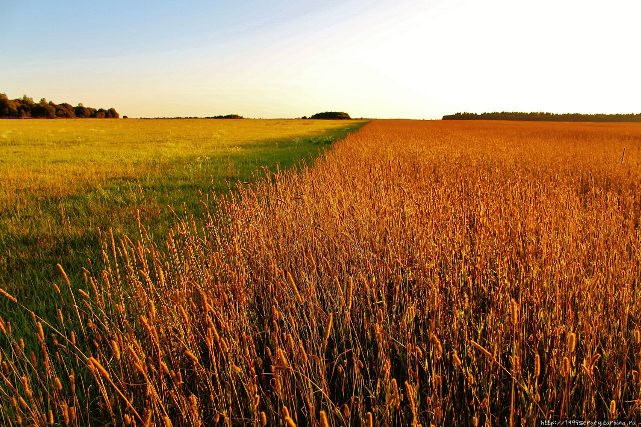 Воспоминания #3 Санкт-Петербург и Ленинградская область, Россия Воспоминания #3 Санкт-Петербург и Ленинградская область, Россия