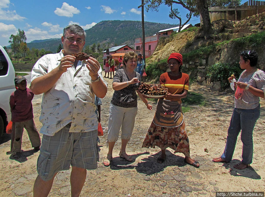 А не отведать ли жареной тилапии? Провинция Фианаранцуа, Мадагаскар