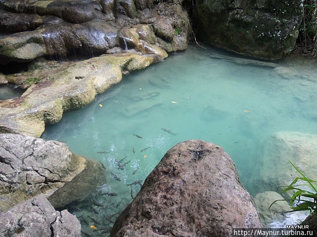 Водопад *Эваран*Интересен тем,что имеет несколько уровней.Сначала туристы поднимаются на верхний уровень и, спускаясь ,купаются во всех водоемчиках. Водопад *Эваран*Интересен тем,что имеет несколько уровней.Сначала туристы поднимаются на верхний уровень и, спускаясь ,купаются во всех водоемчиках.