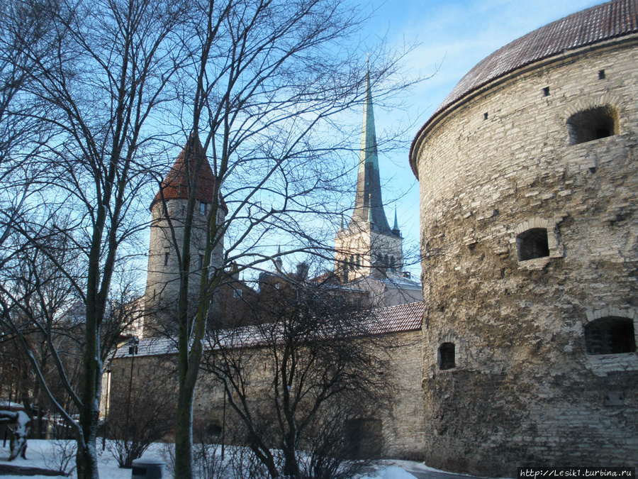 Таллин. Путешествие в средневековье и обратно. Продолжение Таллин, Эстония