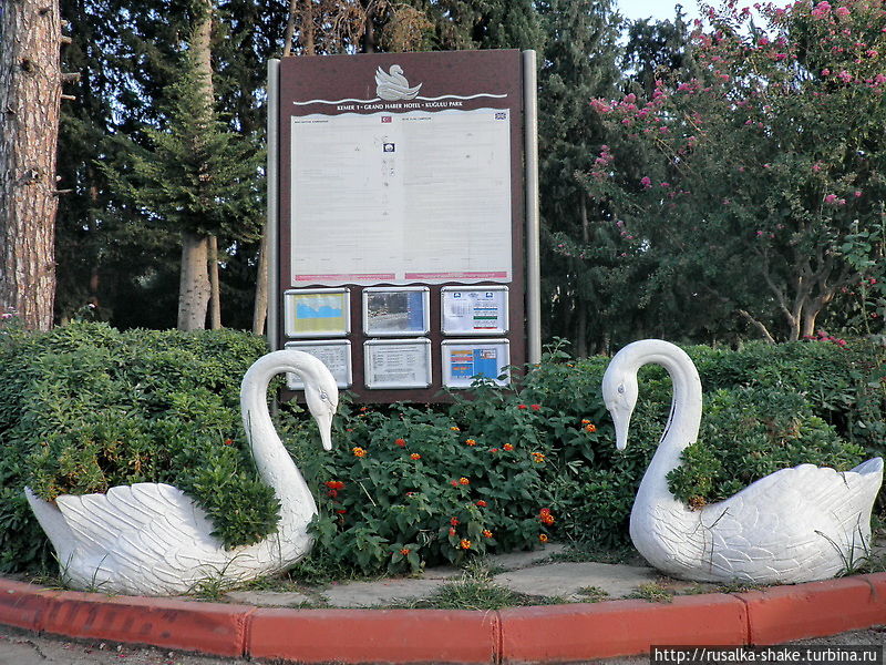 Лебединый парк Кемер, Турция