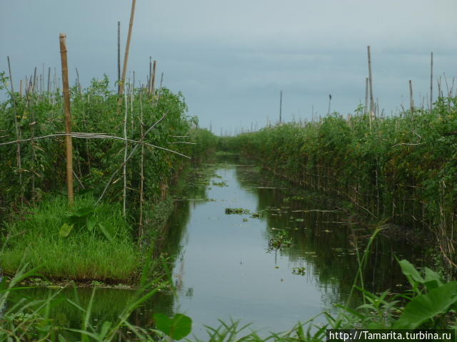 Озеро Инле и подставные падаунги Озеро Инле, Мьянма Озеро Инле и подставные падаунги Озеро Инле, Мьянма
