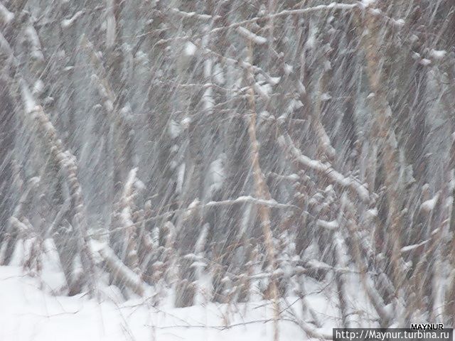 Падает  снег. Россия