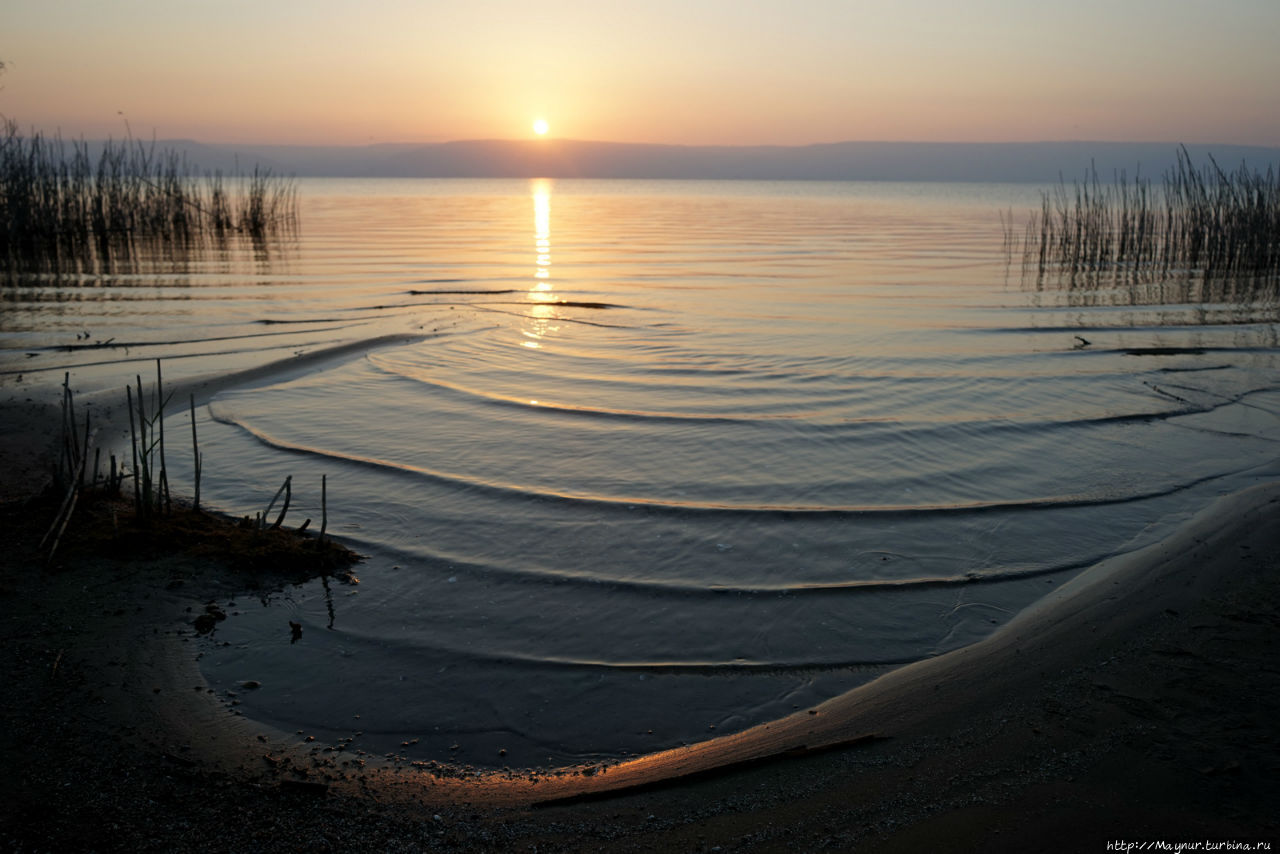 Фото В. Шанина.