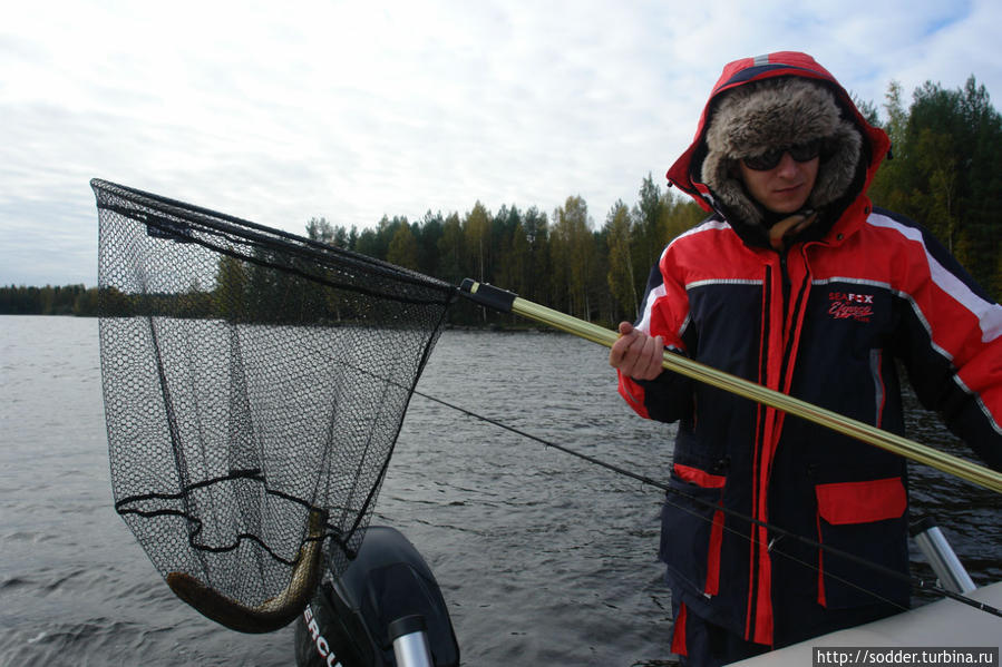 Рыбалка на озере Кюювеси Миккели, Финляндия