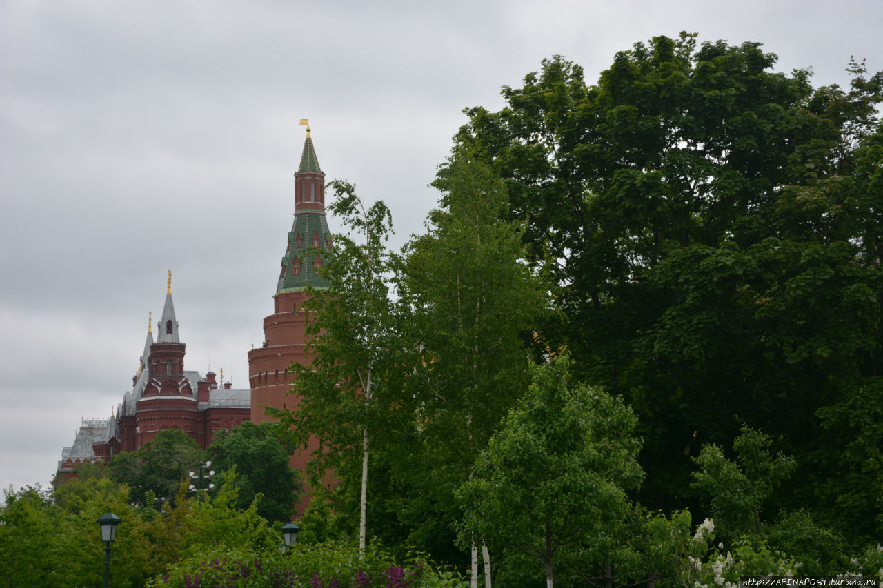 Дождливый майский день Москва, Россия