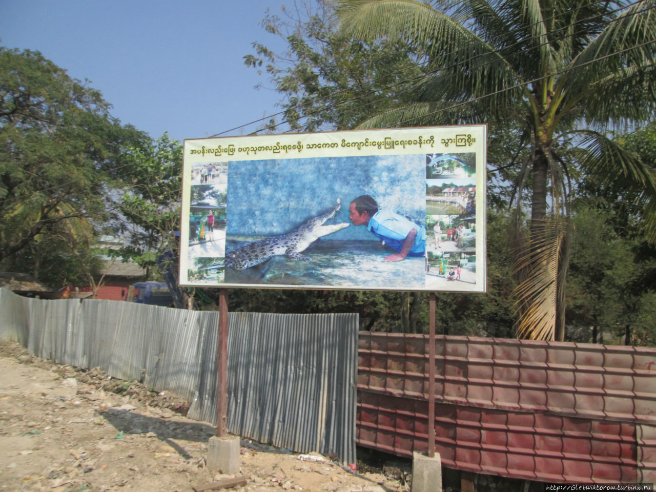 Крокодиловая ферма / Tharkayta Crocodile Farm