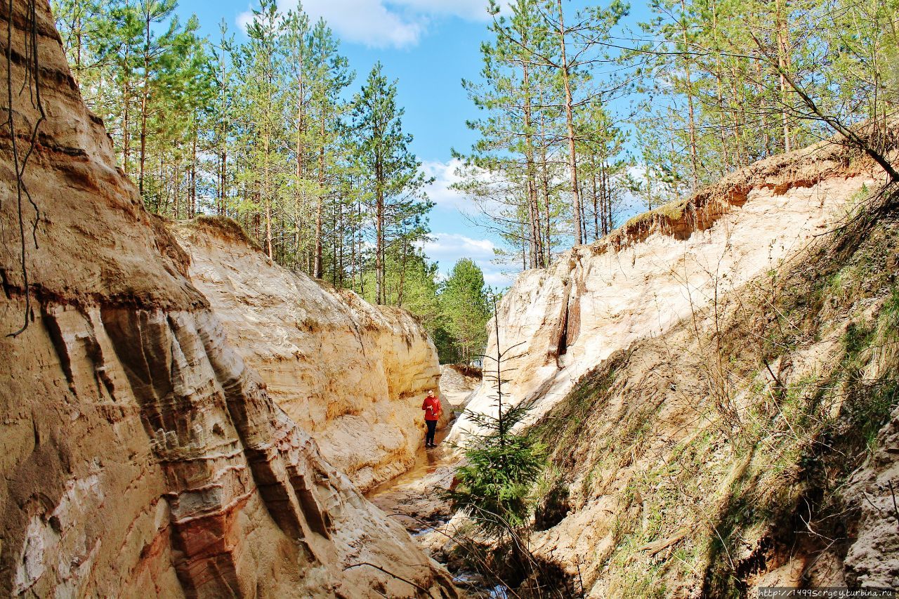 Малый Лужский каньон или История обычного лесного ручья Луга, Россия