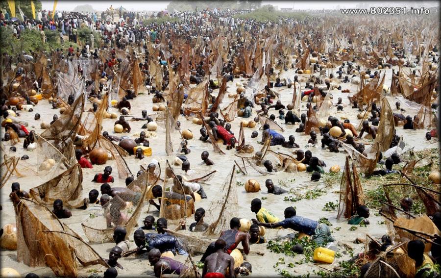 Что? Где? Когда? Что? Где? Когда?