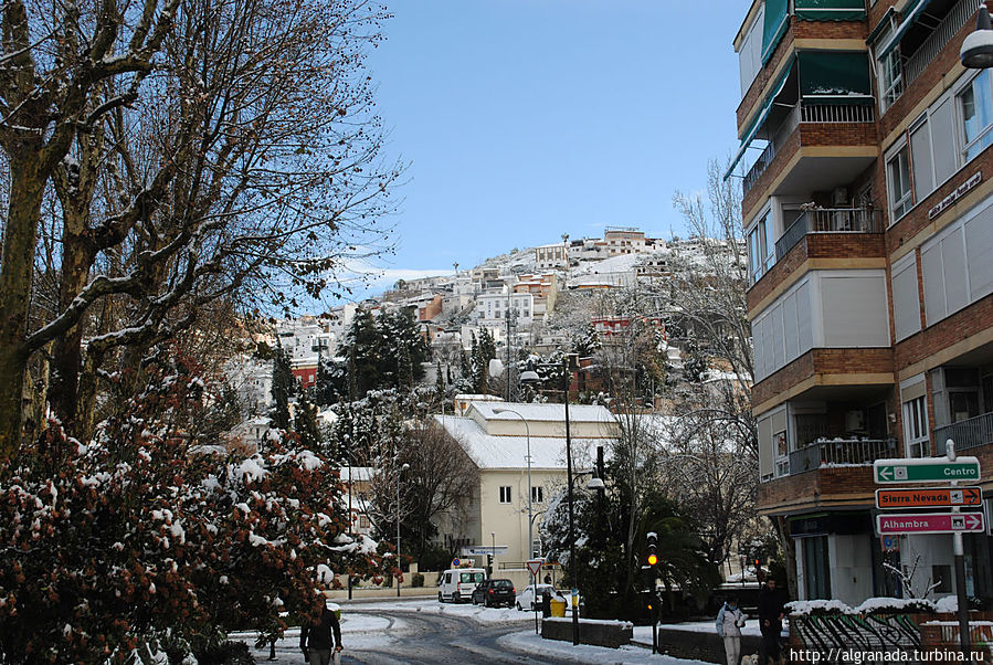 Апельсины в снегу Гранада, Испания Апельсины в снегу Гранада, Испания