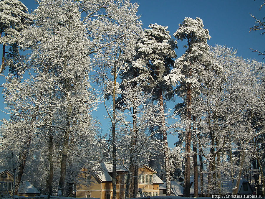 Обычно, я не очень люблю зимой гулять, но в такую солнечную погоду ноги сами несут из дома. Юрмала, Латвия