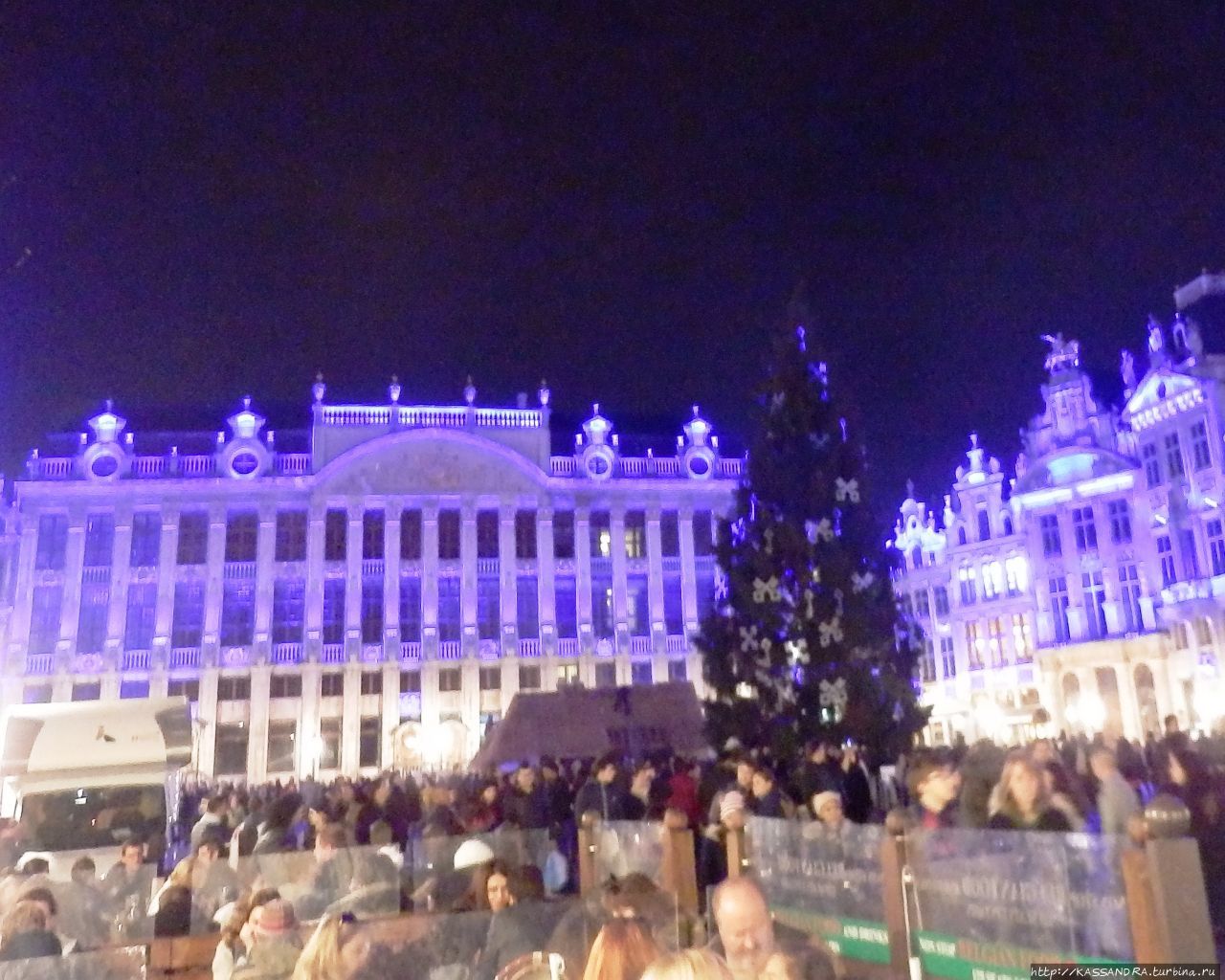 Брюссель. Лучшая новогодняя елка  Европы Брюссель, Бельгия