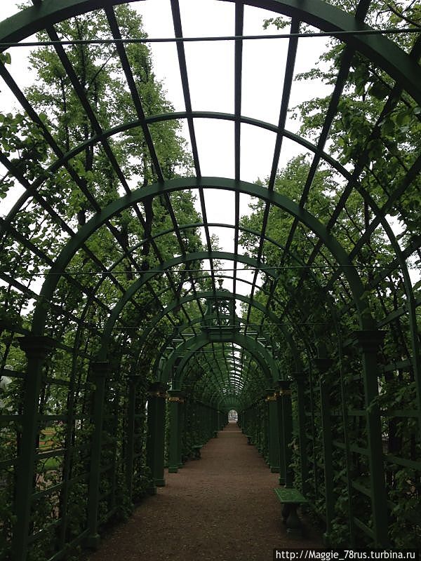 Летний сад, реставрированный недавно... Летний сад, реставрированный недавно...