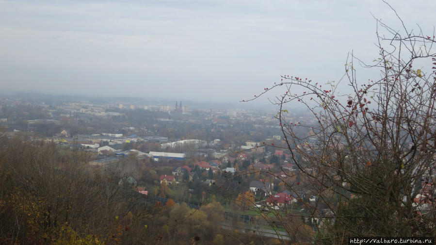 Вид на город с горы святого Марцина Тарнув, Польша