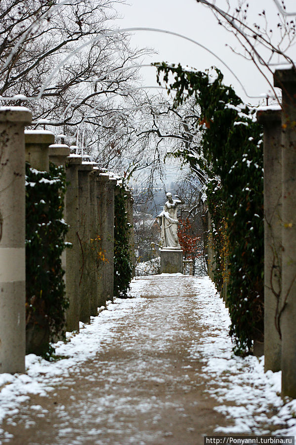 Часть английского сада около замка Часть английского сада около замка