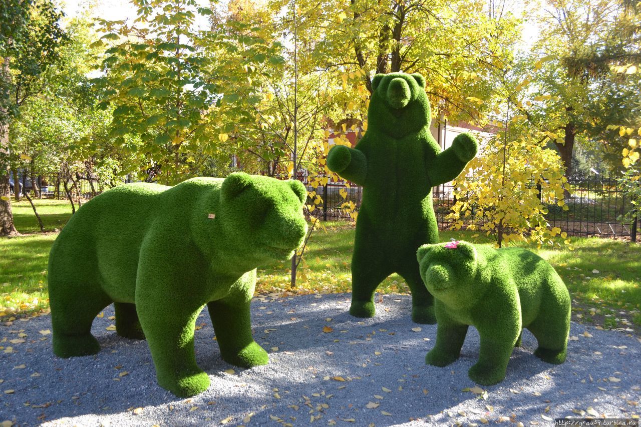 Три медведя и корова - родственники зелёных слонов