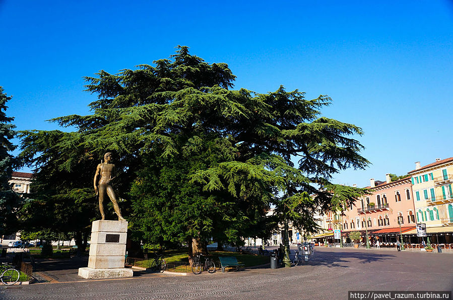 Центр Вероны Центр Вероны