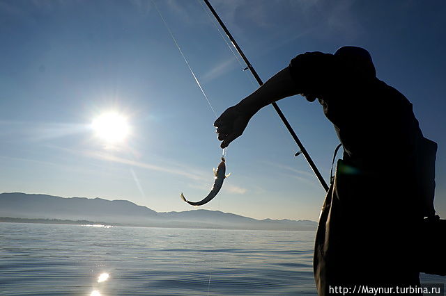 Вот такая рыбалка Южно-Сахалинск, Россия Вот такая рыбалка Южно-Сахалинск, Россия